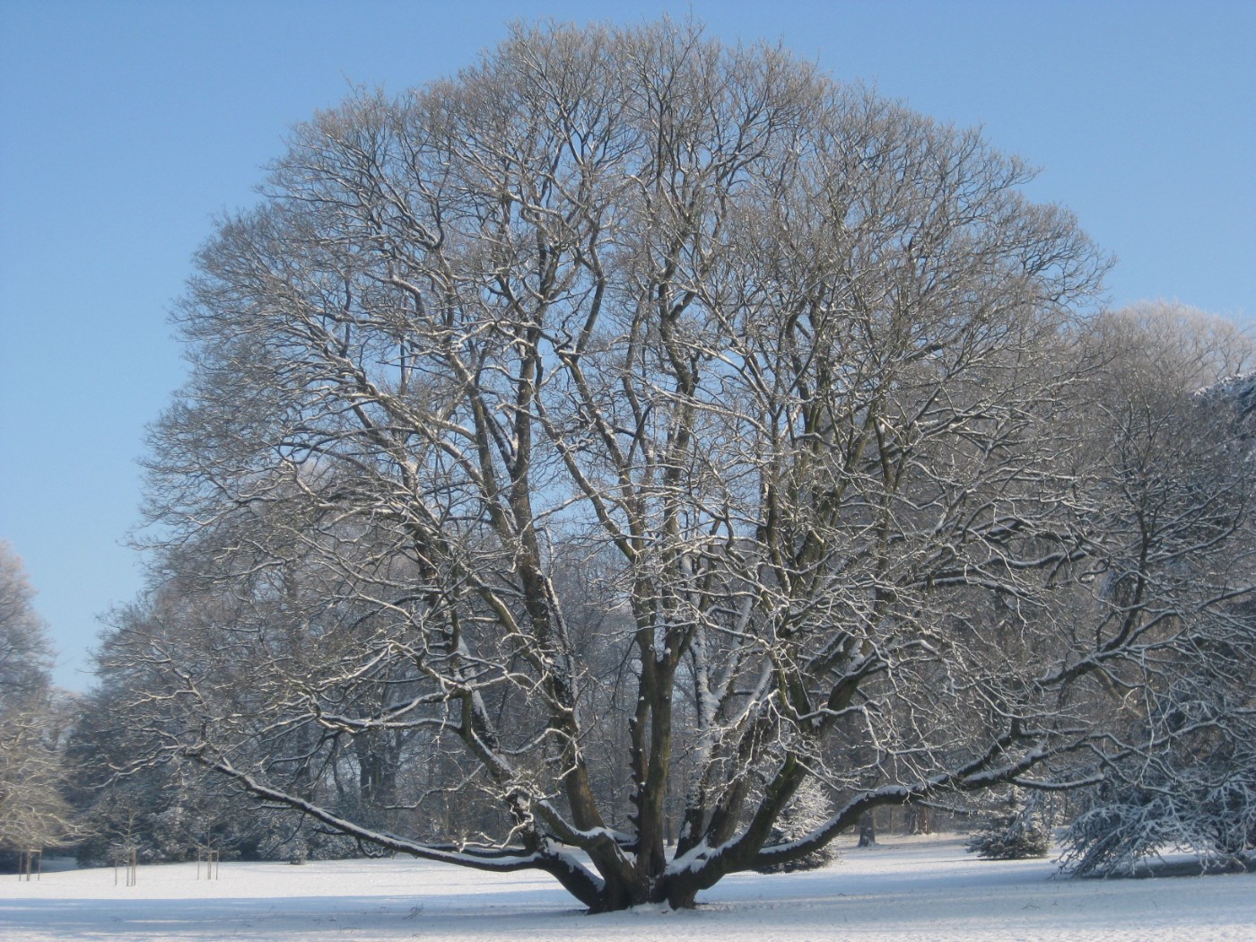 19e Marché de Noël au CRIE de Mariemont
