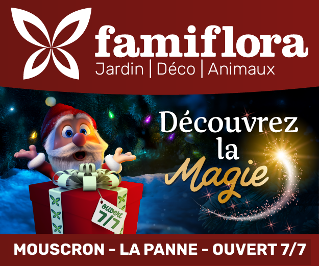 Le Paradis de Noël le plus accueillant de Belgique