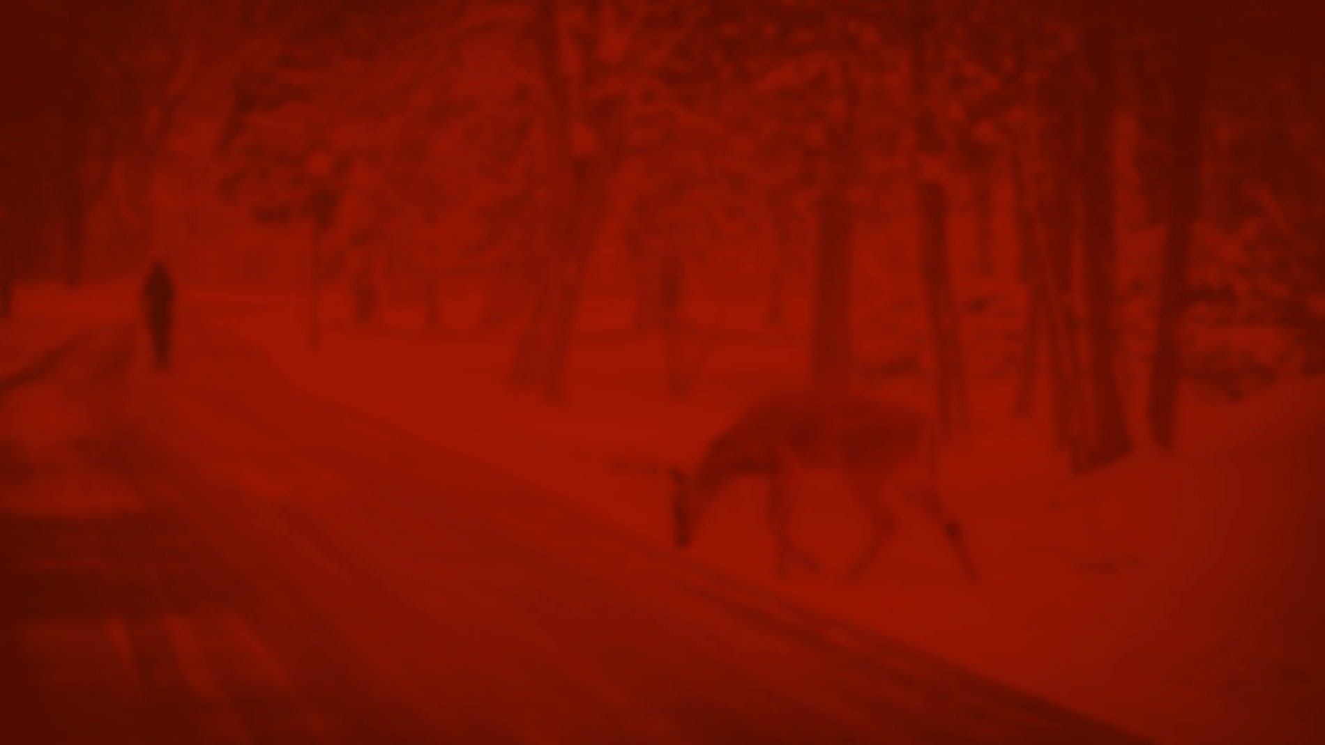 red_deer